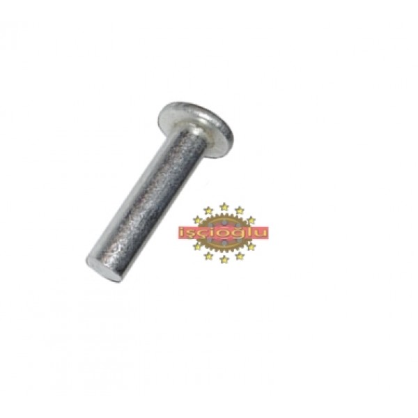 6X22 ALÜMİNYUM PERÇİN BALATA PERÇİNİ KG